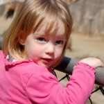 Zoo